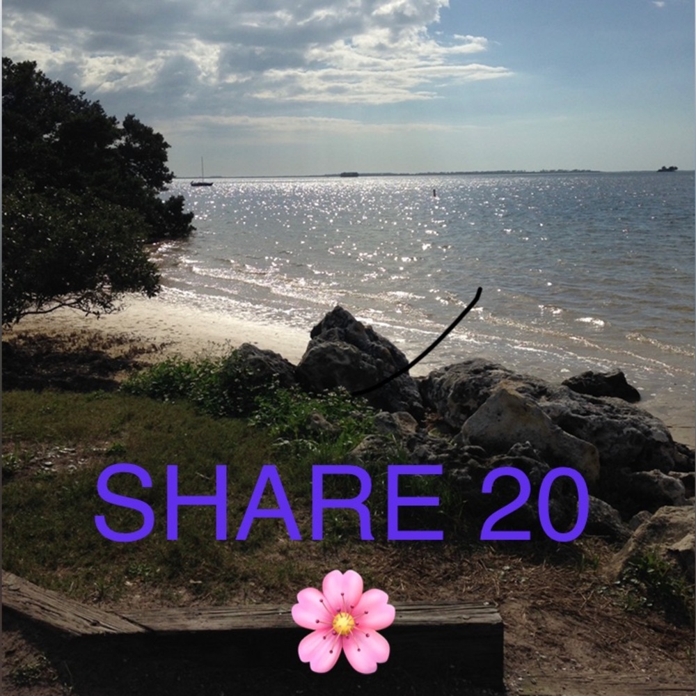 Share 20🌸